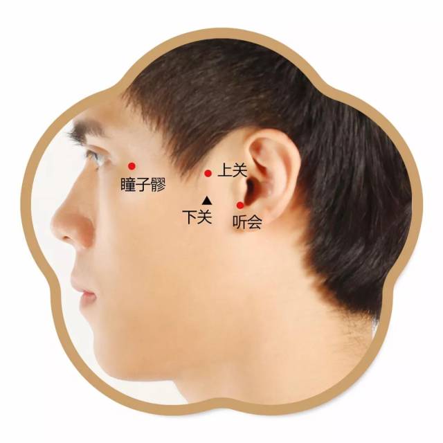耳门的准确位置图图片