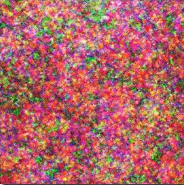 100张赤裸裸的照片告诉你,什么叫色即是空!