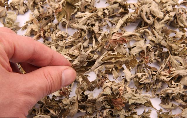 产后荨麻疹哺乳期不能吃药,简单的几样草药外洗就可以治好