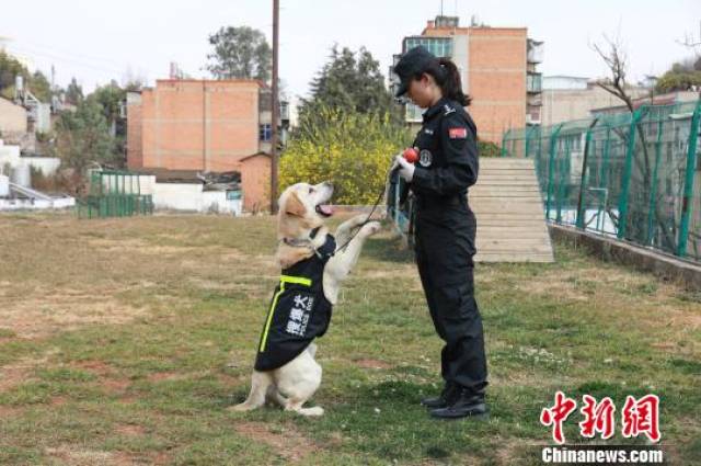 警花训导员和她们的警犬"战友"