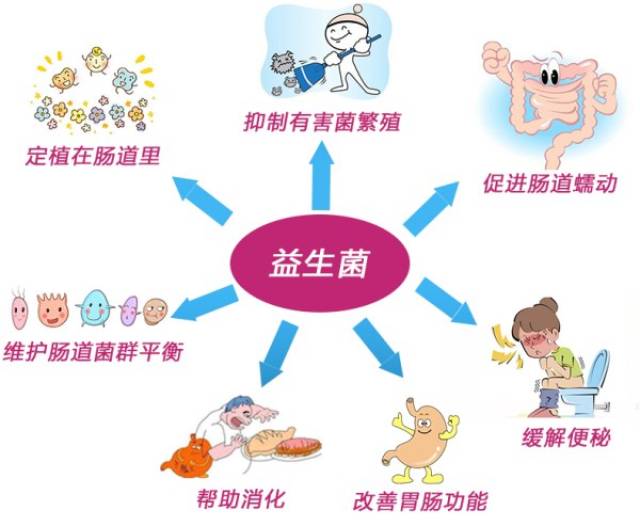 这可能是你的肠道出了问题,益生菌美容 从肠道开始