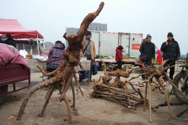 山上的树根农民大叔赶集卖500元1件没人买:这是艺术,一般人不懂