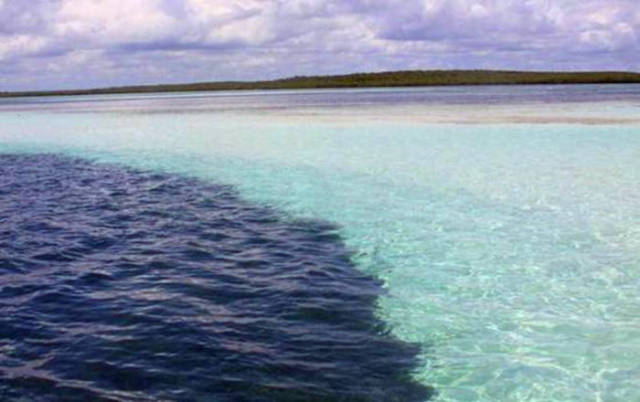 而大西洋的含盐量较高,水的颜色较深,所以看上去就像是两种不同颜色的