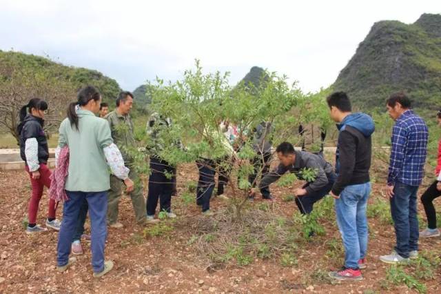【身边典型】唐维勇:返乡创业助发展 致富不忘家乡人