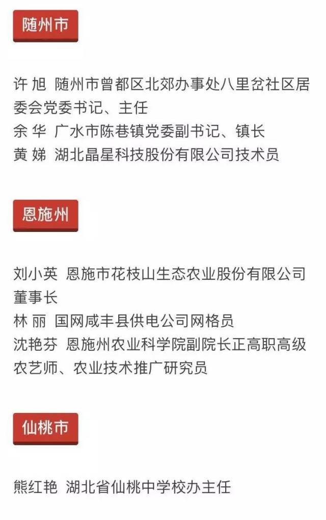 巾帼榜样!湖北100个集体,170名个人受表彰!看看黄石有哪些?
