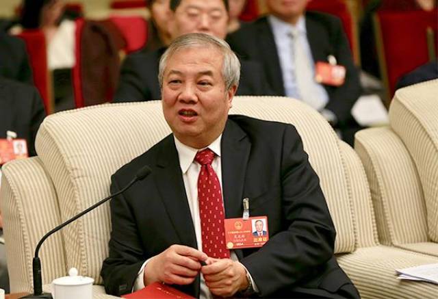 吴光辉代表在回答记者提问.澎湃新闻记者 赵昀