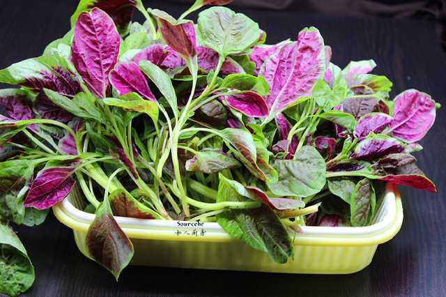 补钙就吃这道菜,效果比牛奶强,孩子了长高个,老人吃了行如风