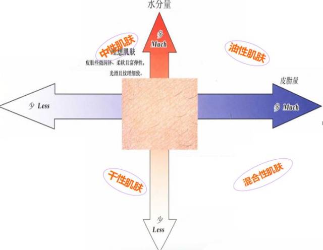 少于70,将延缓新陈代谢的周期,皮肤将会干燥,紧绷出现细纹及皱纹,暗