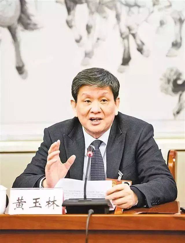 重庆市渝中区委书记黄玉林:用"颜值"和"气质"增强区域吸引力竞争力