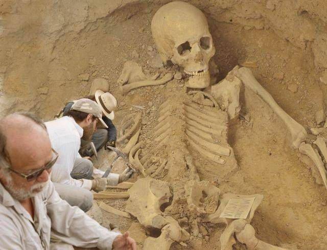 始祖巨人为什么是骨架图片