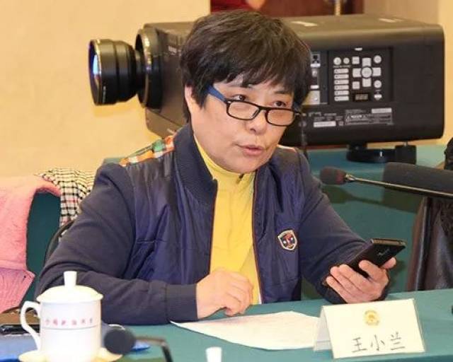 时代集团公司总裁王小兰