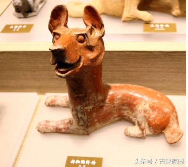 狗年说狗谈谈中国古代的狗