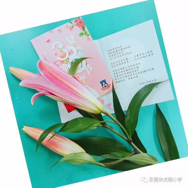 一张贺卡暖人心