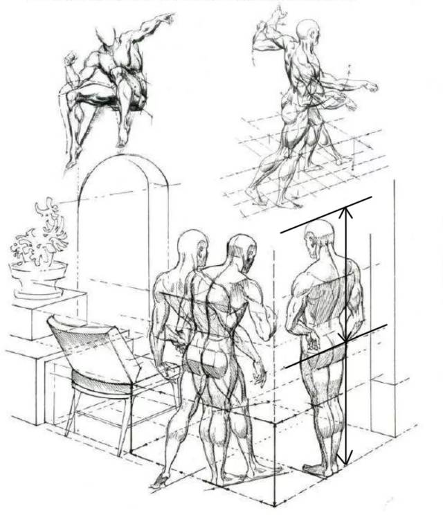 从人体透视关系来说 看下图右下角正常下半身比上本身长的人 在俯视