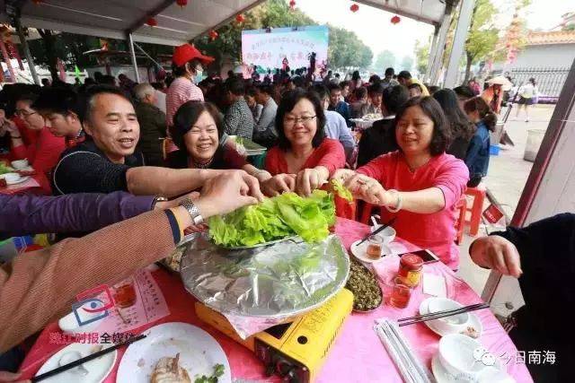 万棵生菜已就位官窑生菜会下周开锣我们请您免费吃