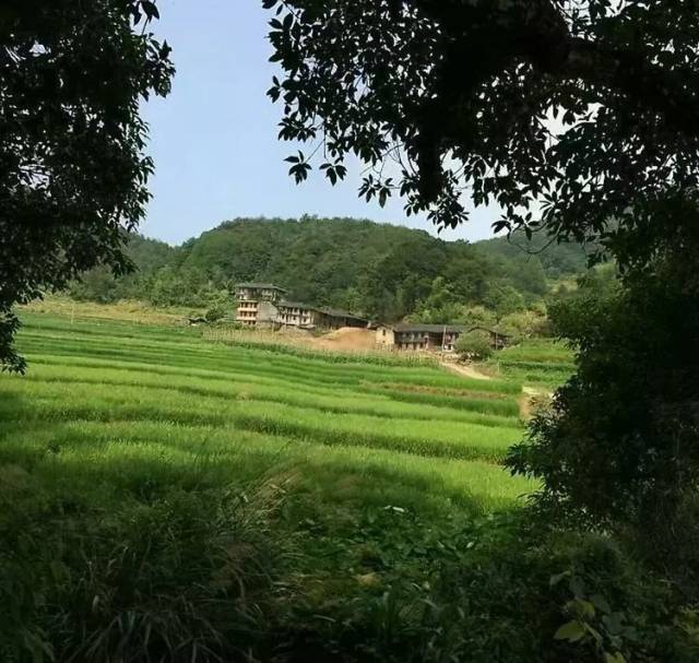 十字令——永泰丹云乡风光秀丽,钟灵毓秀