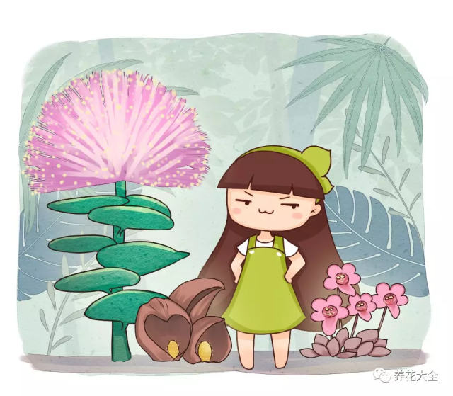 白养了这么多年花,这几种花一种也不认识,太奇葩了