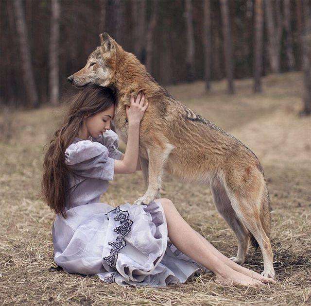 镜头下的美女与野兽