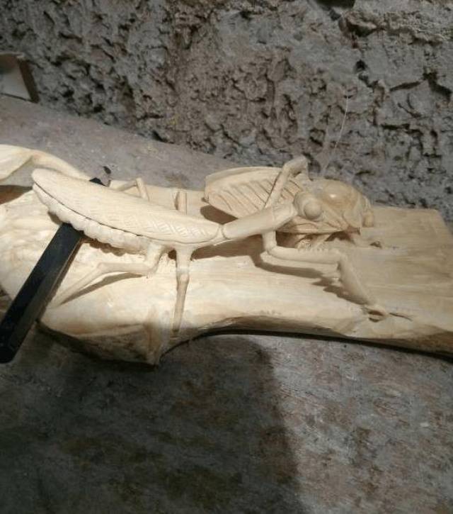 螳螂捕蝉,黄雀在后,黄杨木上演绎经典寓言故事!