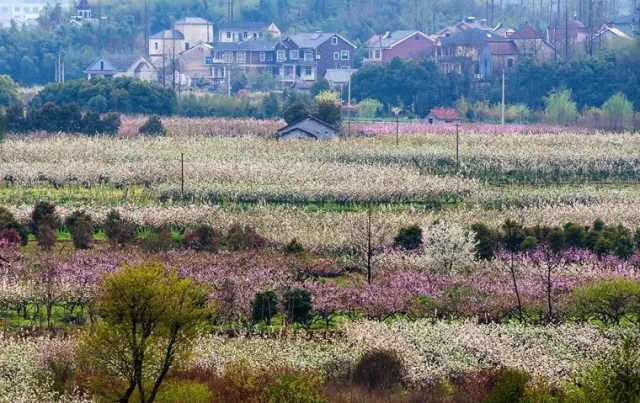 建议线路:进化镇华家垫村—曹山寺—绍兴夏履镇—越王峥—深