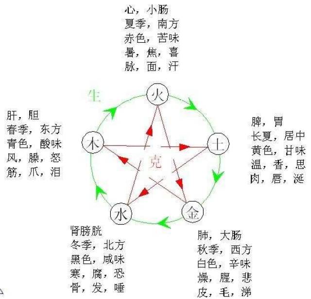 中國的五行理論是對人類文明的重大貢獻,中醫就是利用五行相生相剋來