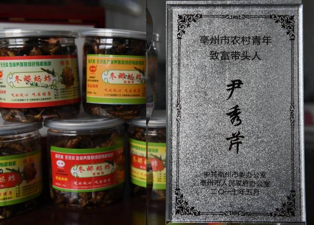 每日农经致富经_农广致富经_致富每日农经app