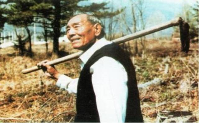 植树节特刊:集伐木能手和栽树英雄于一身的老模范马永顺