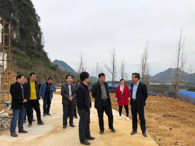 河池市宜州区区长梁宁带队深入然泉农业调研构树产业扶贫工作