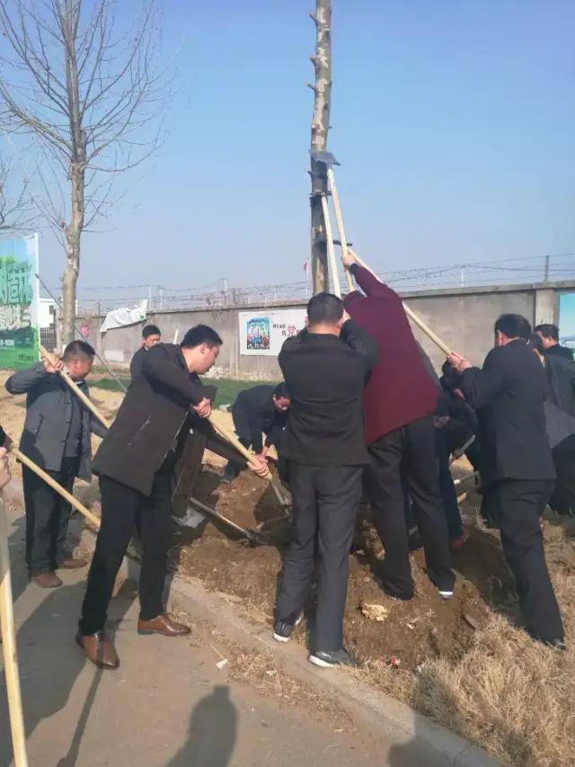 江苏省连云港市赣榆区沙河镇开展植树节义务植树活动