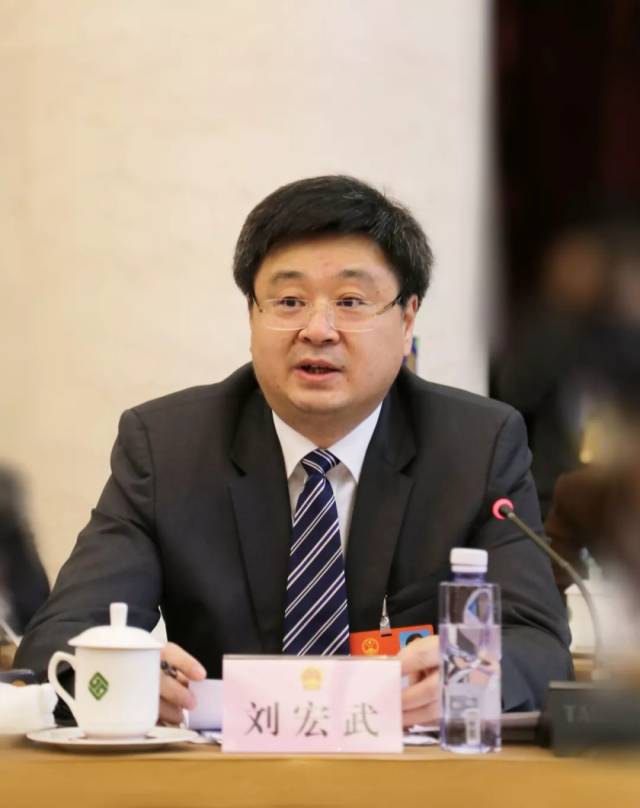 两会专访广西发改委主任刘宏武共筑中国东盟信息丝绸之路