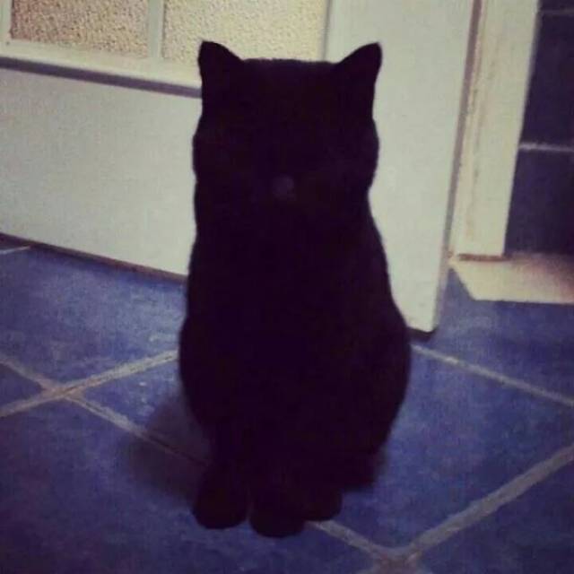 кèĲʺٶһʶ ǾǡèĲϾ 