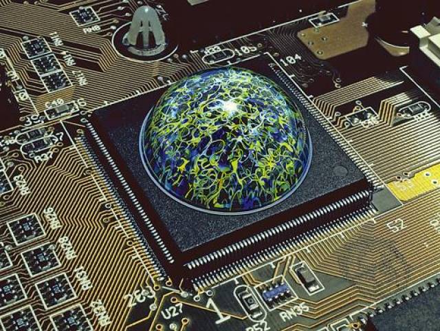 生物计算机是如何计算的?