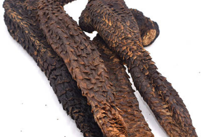 锁阳肉苁蓉价格2018行情以及吃法