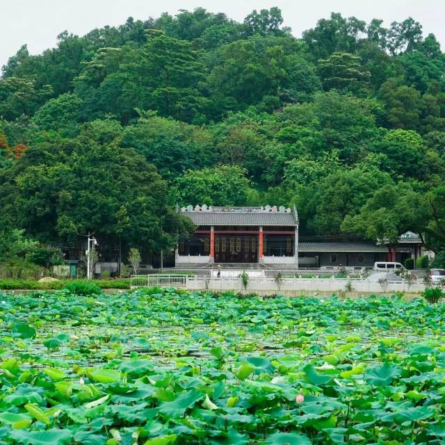只身伏虎,为民除害,终成一方仙祖——深井村五月初九宾公佛诞