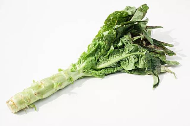 莴笋 莴笋和油麦菜的区别