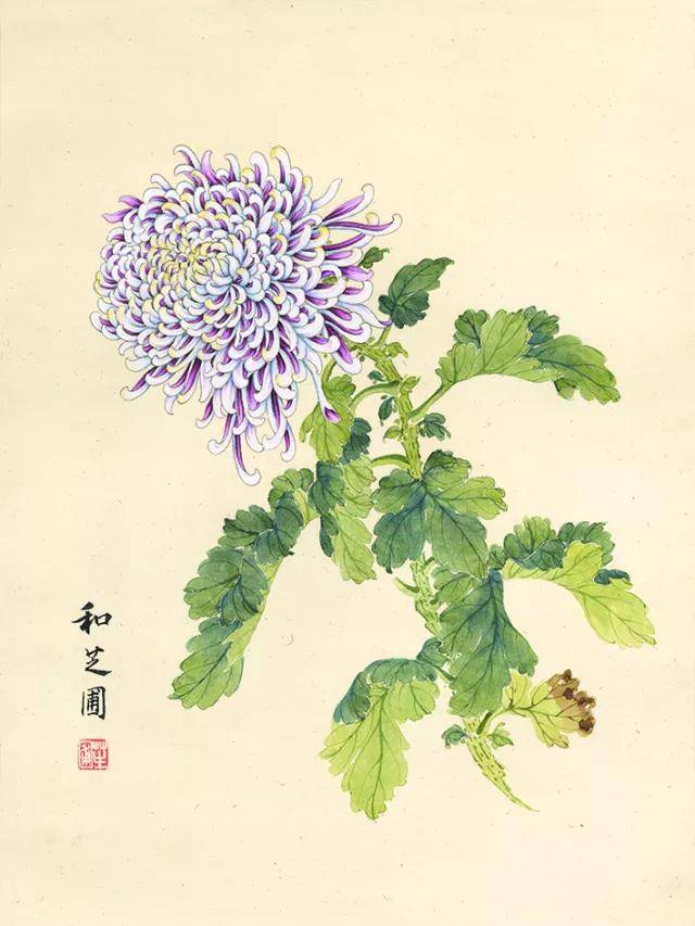 艺林藻鉴 ,画家----和 芝圃