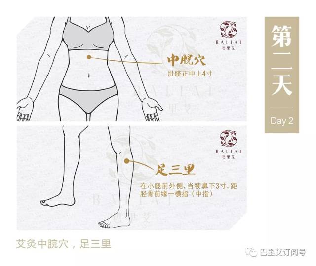 保养卵巢,从艾入手