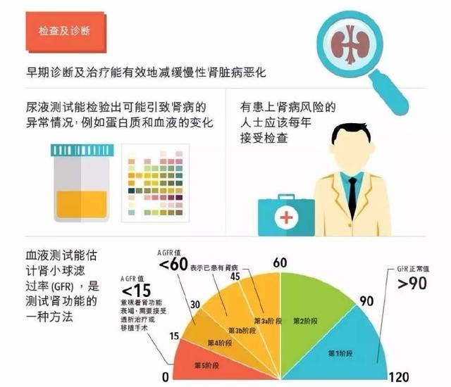 分期標準:根據 腎小球濾過率( gfr )和 血肌酐( scr )的檢測值分期.