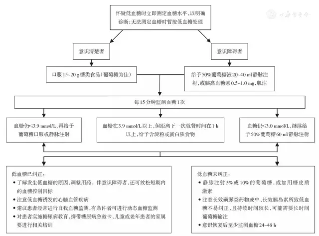 低血糖诊治流程