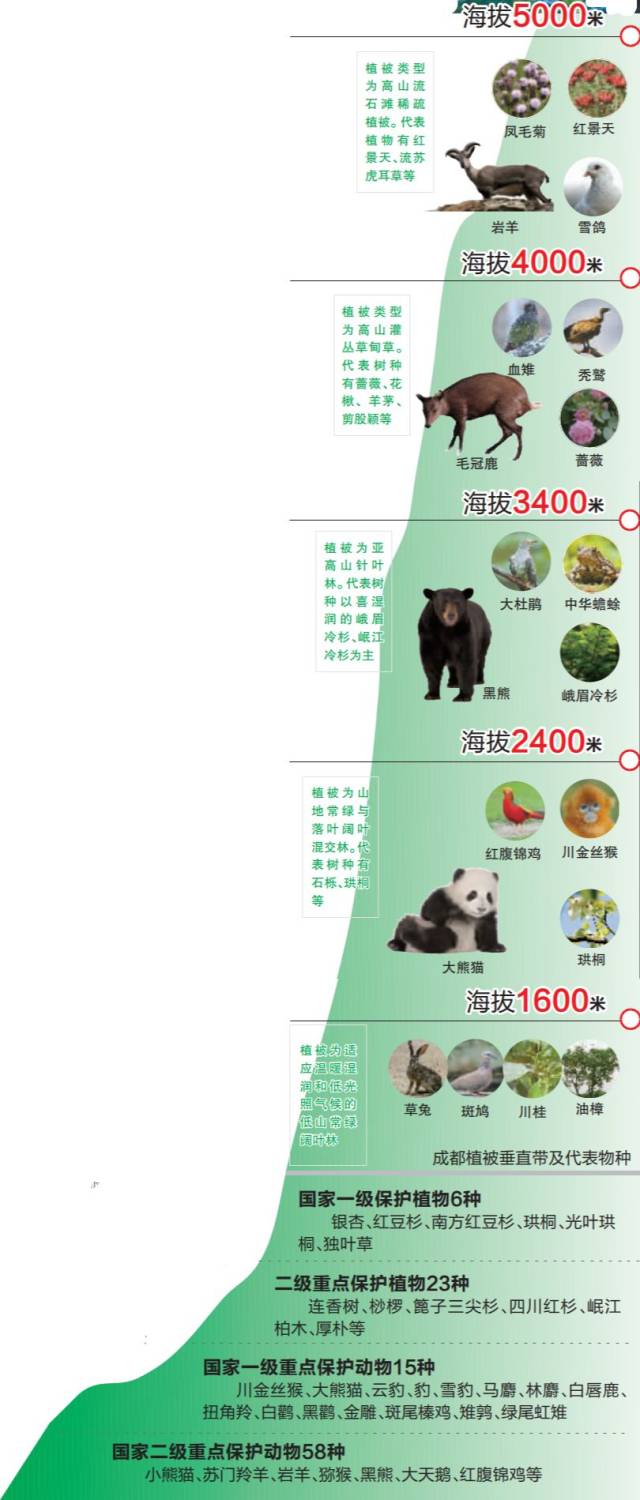 3390种高等植物,600余种野生动物聚集成都!