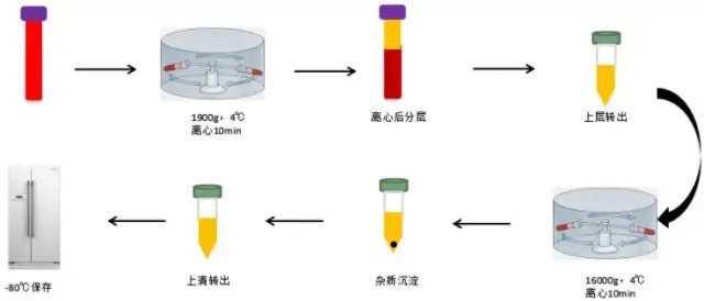 血浆样品分离