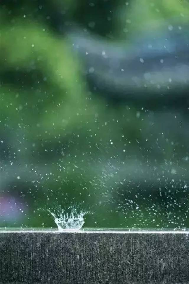 一是拍摄玻璃窗外的雨痕;二是拍摄植物上落下的雨滴