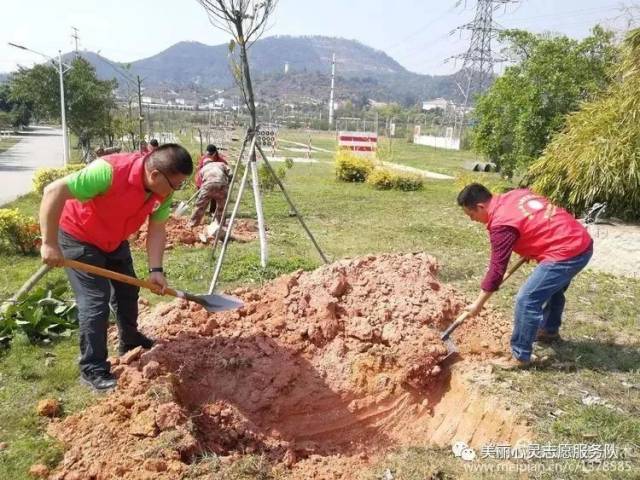 种树填土,填土,冲填土_大山谷图库
