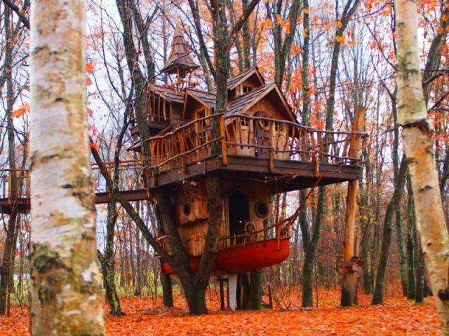 8国8间最美树屋,中国的颜值爆表!