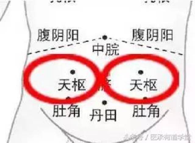 中脘天枢,位置图,气海_大山谷图库
