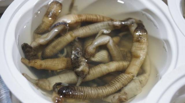 涨知识,土笋不是笋,好味土笋冻原来是虫子变的,你敢吃吗?