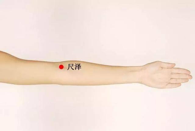 尺泽穴,找不准位置的可以直接拍手肘窝