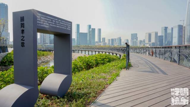 黄金花海,涂鸦墙,深圳这座免费海滨公园再次惊艳了!