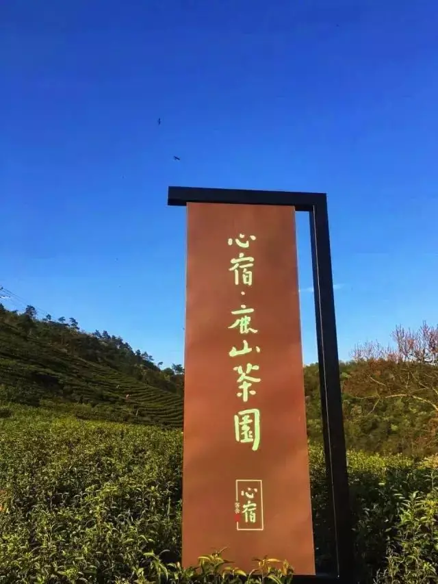 景觀 而就在這片萬畝茶場中 就有一處名為—— 心宿鹿山茶園的茶場 它