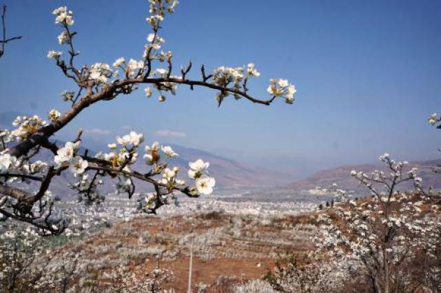 漢源梨花節(桃花節) 地址:漢源縣九襄鎮花神廣場